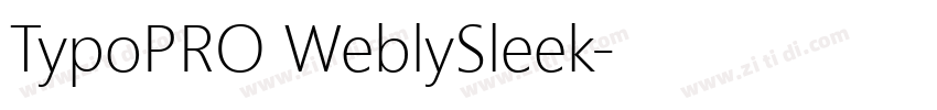 TypoPRO WeblySleek字体转换